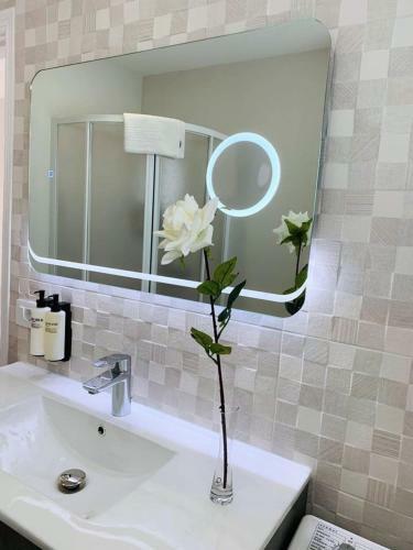 Apartamento Marina Atico Penthouse