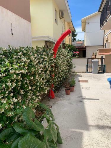 Apartamento Grazioso Appartamento Seconda Fila Sul Mare - Wifi