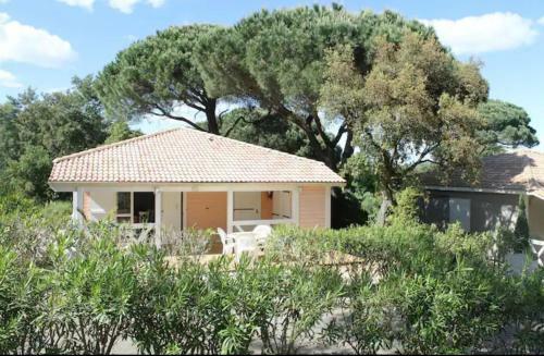 Quiet Palm House - Golfe De Saint Tropez