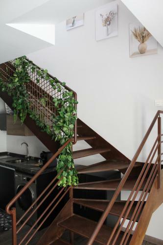 Apartamentos La Camelia