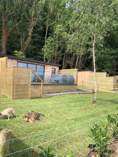 The Caswell Bay Hide Out