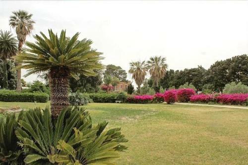 Apartamento Tenuta Donna Vittoria - Glicine