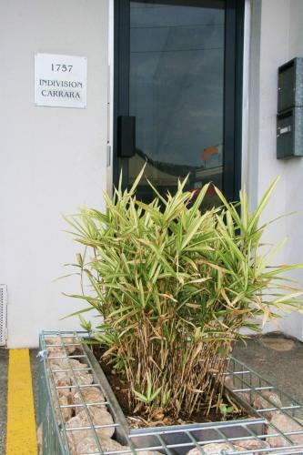 Apartamento Appart Azur