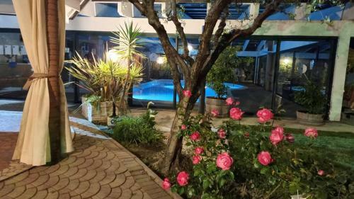 Apartamento Comfort - Appartment - Pool