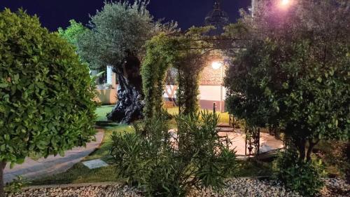 Apartamento Comfort - Appartment - Pool