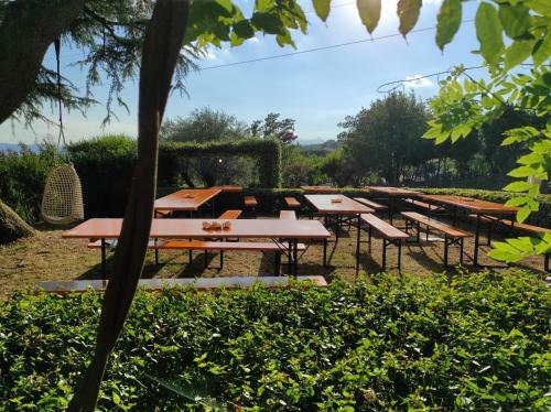 Agroturismo Casa Tonello