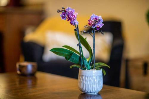 Apartamento Beautifully Updated Pc Condo W Pool, Hot Tub, Gym!