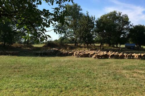 Maison � La Campagne Salles La Source Aveyron