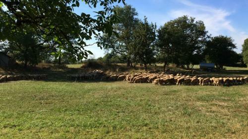 Maison � La Campagne Salles La Source Aveyron