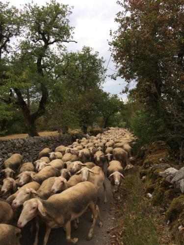 Maison � La Campagne Salles La Source Aveyron