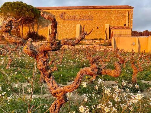 Apartamento Occ11 - Narbonne - Chateau Camplazens