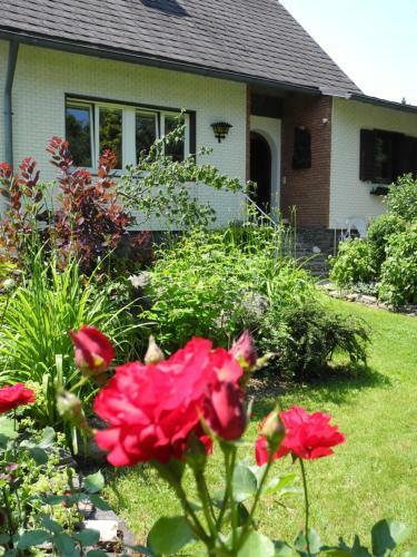 K14 - Oase Im Gr�nen