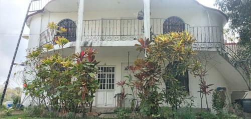 Hostal Caba�as Rio Tamasopo