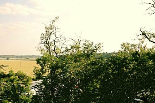 Lodge Vesel� - Vinn� Sklep