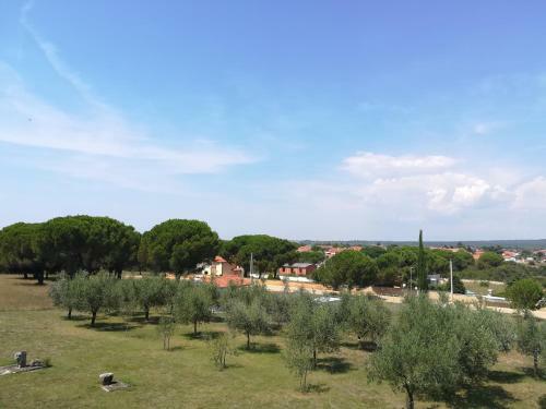 Apartments Celega
