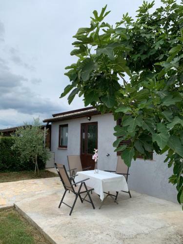 Apartamento App Petrovija
