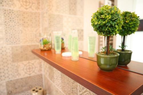 Hostal Vila Chic M