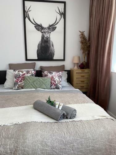Apartamento 7apartments