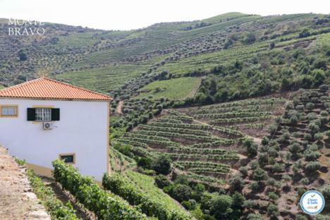 Agroturismo Quinta Do Monte Bravo - Douro - Quarto Duplo
