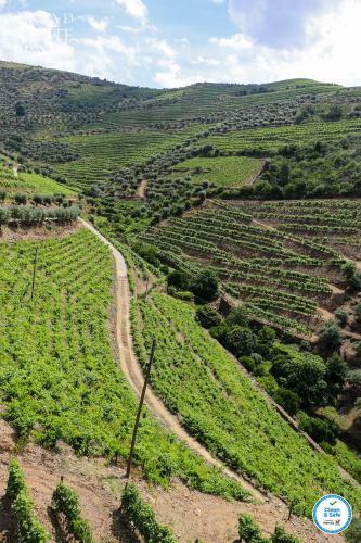Agroturismo Quinta Do Monte Bravo - Douro - Quarto Duplo