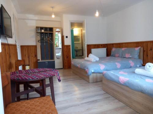Hostal La Pensionaru'