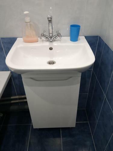 Apartment Harkovskaya