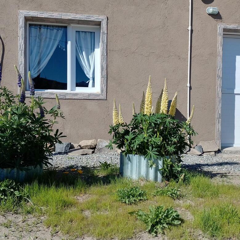 Apartamento Los Lupinos