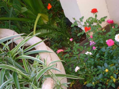 Apartamento Mans�o Strong