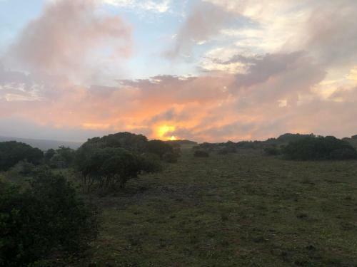 Apartamento Baardbos Private Game Reserve