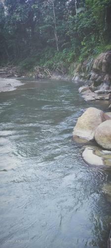 Hostal Brown Bamboo Landak River