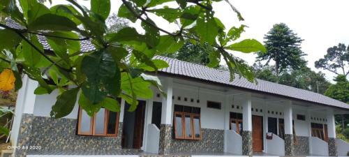 Hostal Brown Bamboo Landak River