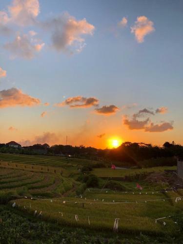 Alunan Villa - Canggu