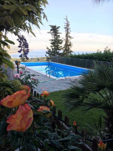 Villa Fiorita