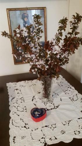 Apartamento Petit Jolly'