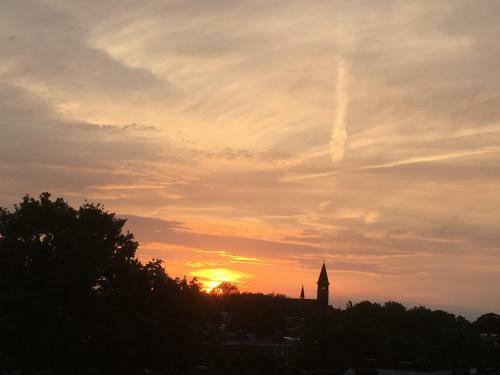 Rooftop View