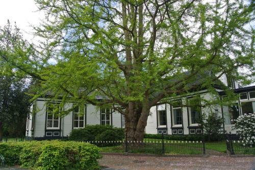 Bed & Breakfast Pastorie Tijdverblijf