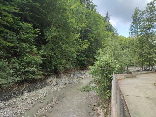Chill Apartment Sinaia