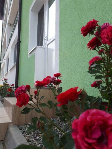 Apartamento Hunyadi Ciresica With Free Parking