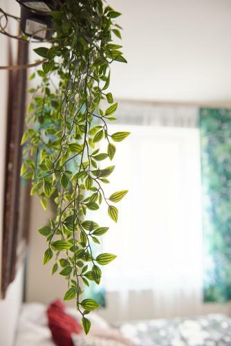 Your Trip Apartment (2)