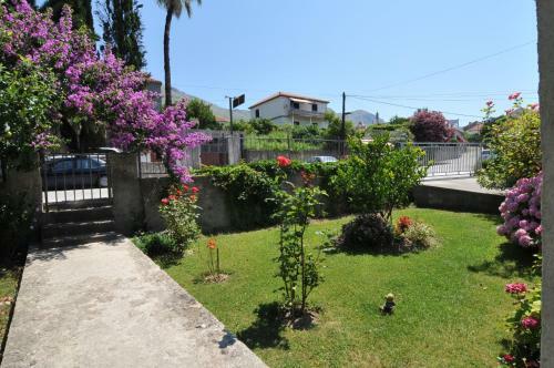 Apartments Mare