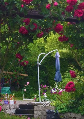 Hostal Hotel Garni Am Sch�fersberg