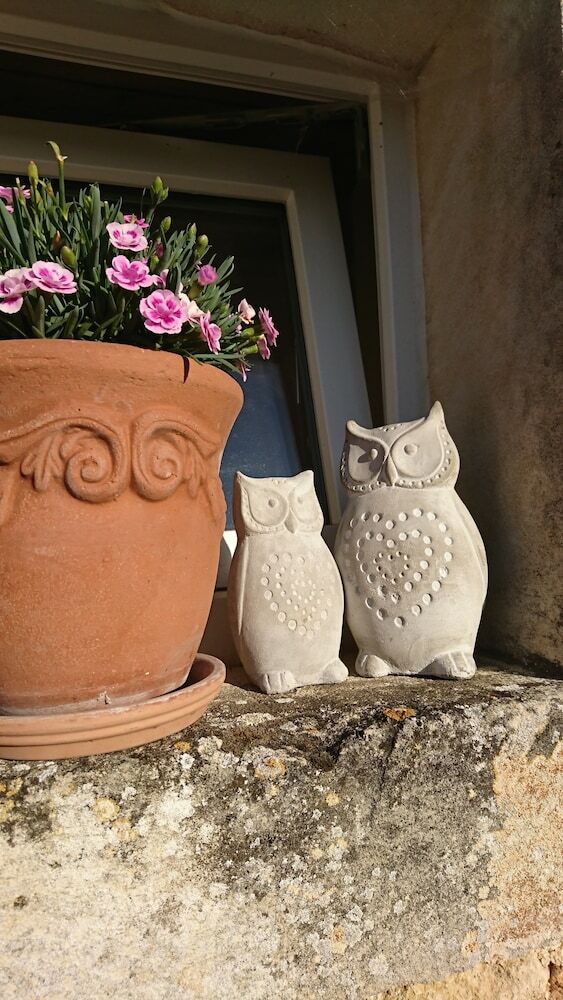 Bed & Breakfast A Fleur Des Champs