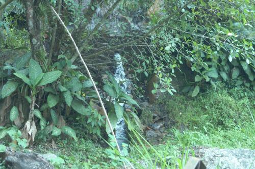 Lodge Finca Agualinda