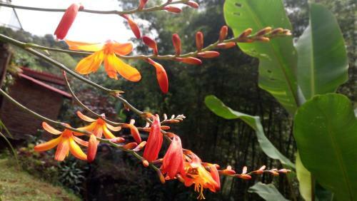 Lodge Finca Agualinda