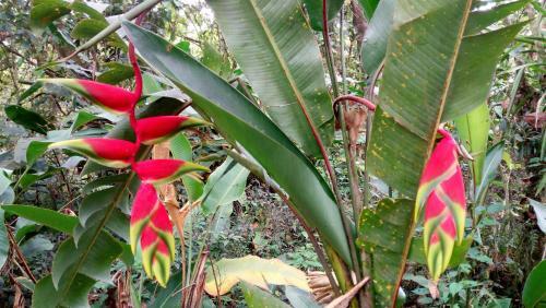 Lodge Finca Agualinda