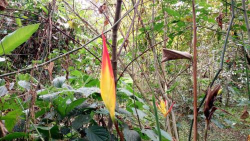 Lodge Finca Agualinda