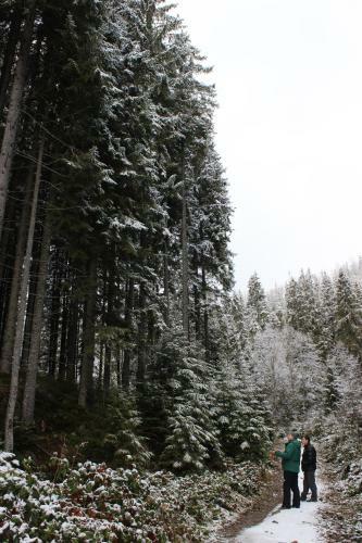 Hostal Nikol Guest House