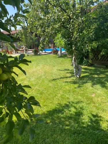 Villa Leisure House Hunedoara
