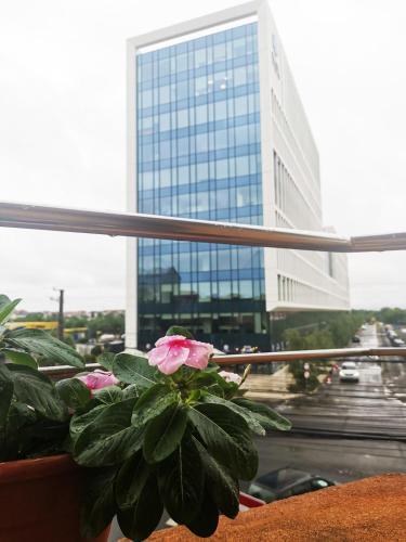 Bed & Breakfast Cazare Timisoara T90