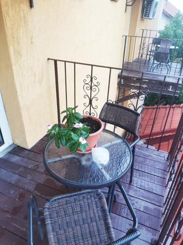 Bed & Breakfast Cazare Timisoara T90